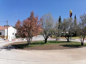 Camiões pisam a relva ao contornar nova rotunda do McDonald`s rotunda McDonalds IMG 20220727 112736