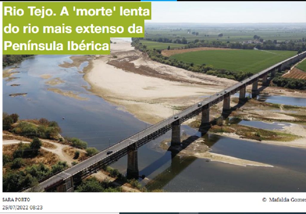 tejo 89
