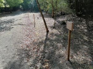 Mata dos Sete Montes: dezenas de árvores morrem por falta de rega (c/ fotos e vídeo) IMG 20220828 101836