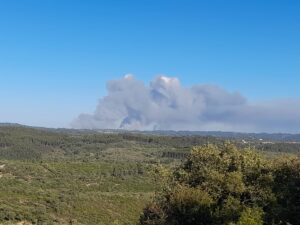 Mais um incêndio na freguesia de Olalhas (c/ fotos e vídeos) inc 914188176 4892277213782067212 n