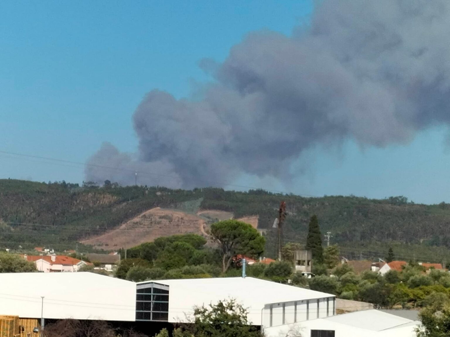 Mais um incêndio na freguesia de Olalhas (c/ fotos e vídeos) incend 649000836 1018273402940396970 n