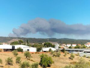 Mais um incêndio na freguesia de Olalhas (c/ fotos e vídeos) incend 655498 3852116236419683423 n