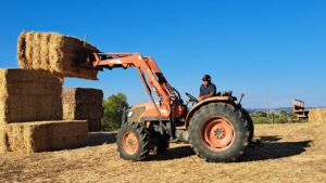 Toneladas de palha de Tomar para ajudar os produtores da Serra da Estrela (c/ vídeo) palha 712731 3657263014638646520 n