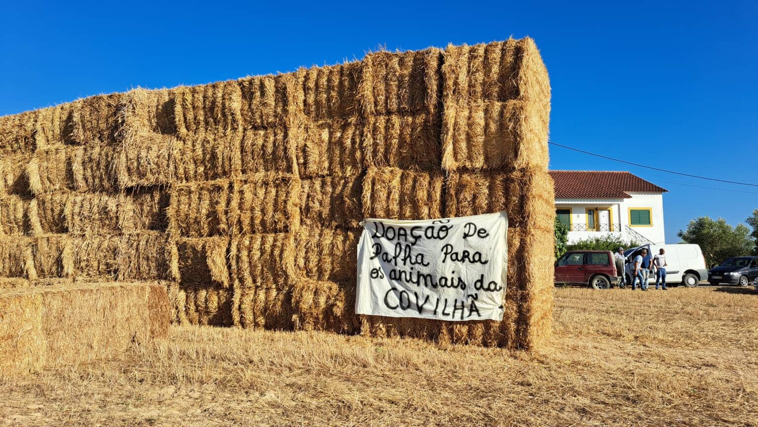Toneladas de palha de Tomar para ajudar os produtores da Serra da Estrela (c/ vídeo) palha 8005 7796525486338532396 n