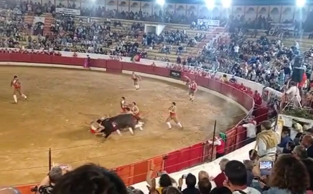 Pega na praça de Tomar está a dar que falar (c/ vídeo) pega