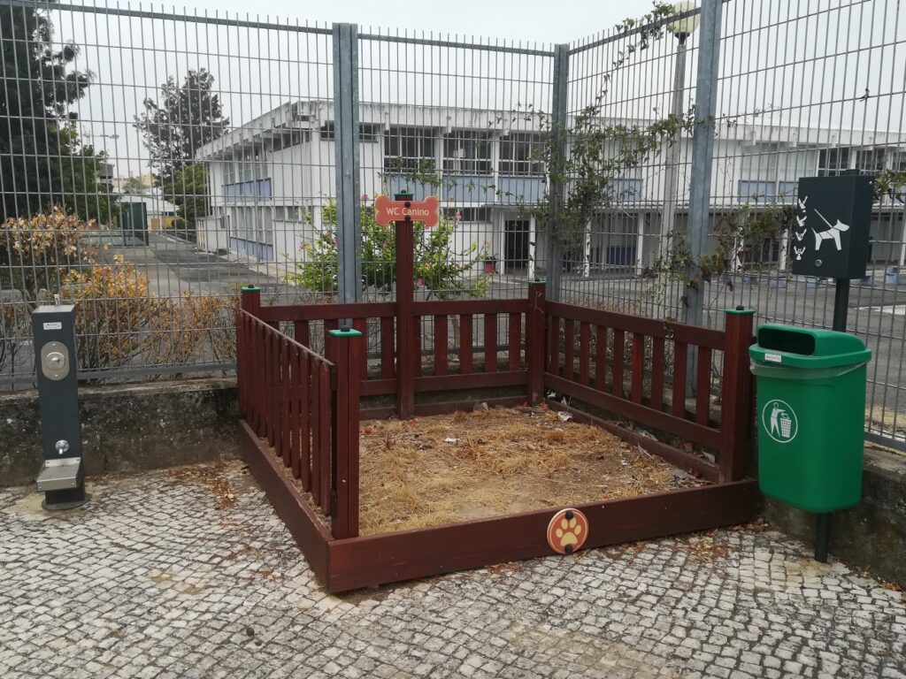 O que resta do “WC canino” de Tomar wc canino IMG 20220807 093113