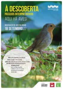 Agenda para o fim de semana 18 9 960837 9199387140809847766 n