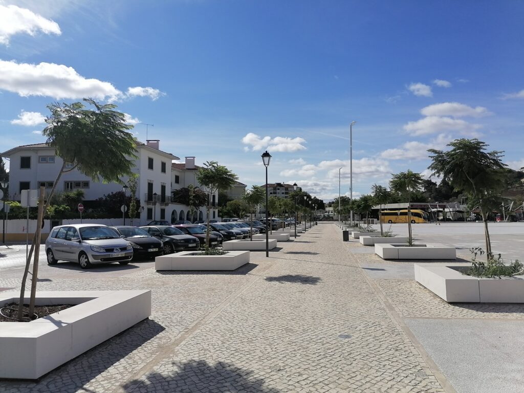 Desta vez os Jacarandás da Várzea Grande vingaram arvores varzea grande IMG 20220902 102041