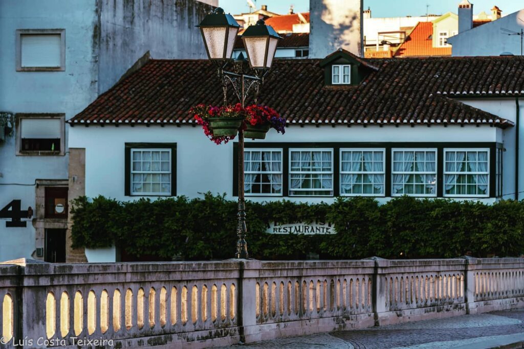 bela vista Luis Costa Teixeira 0471507475266 6777780883241181947 n