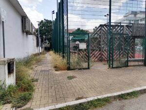 Perigo num parque de estacionamento em Tomar ervas IMG 20220906 114509