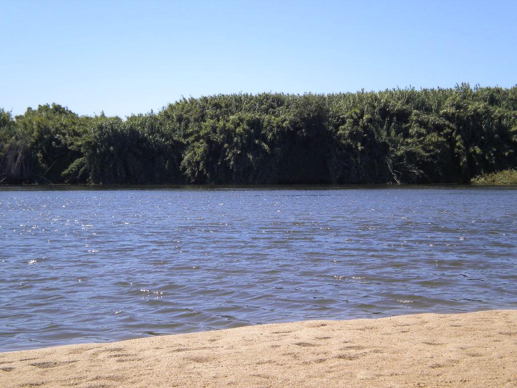 Homem morre afogado no rio Tejo quinta casalinho 650326101196 3730073 o