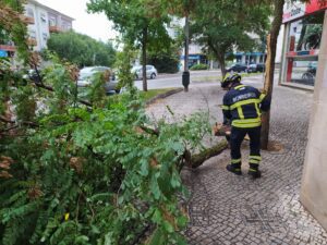 Inundações, queda de árvores e despistes marcam passagem de tempestade (c/ fotos) x 41056840 2860535343362837203 n