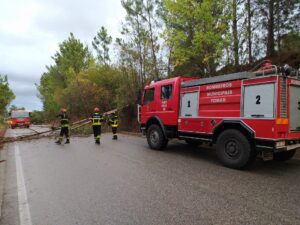 Inundações, queda de árvores e despistes marcam passagem de tempestade (c/ fotos) x 5334390104 5205236978953091280 n