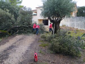 Inundações, queda de árvores e despistes marcam passagem de tempestade (c/ fotos) x 929 1806480055271844368 n