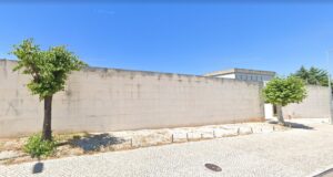 Cortaram duas árvores em frente à casa mortuária casa mortuaria 2