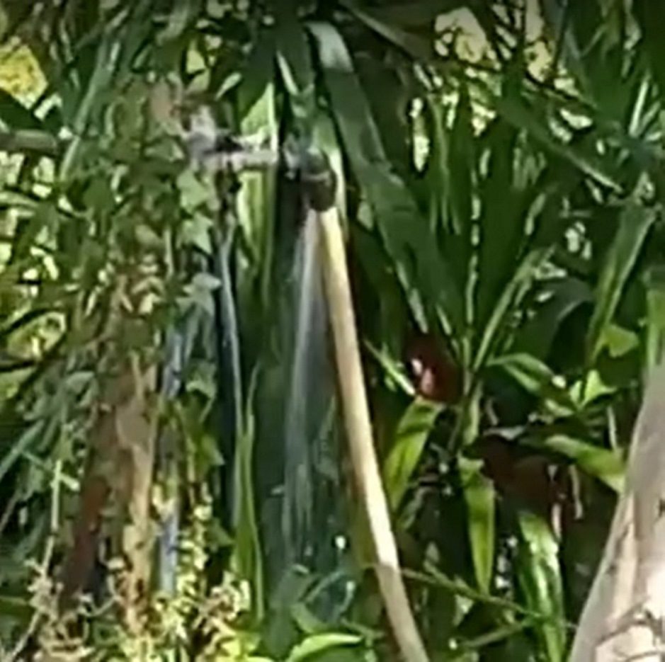 Água jorra no Flecheiro há quatro dias (c/ vídeo) flecheiro agua