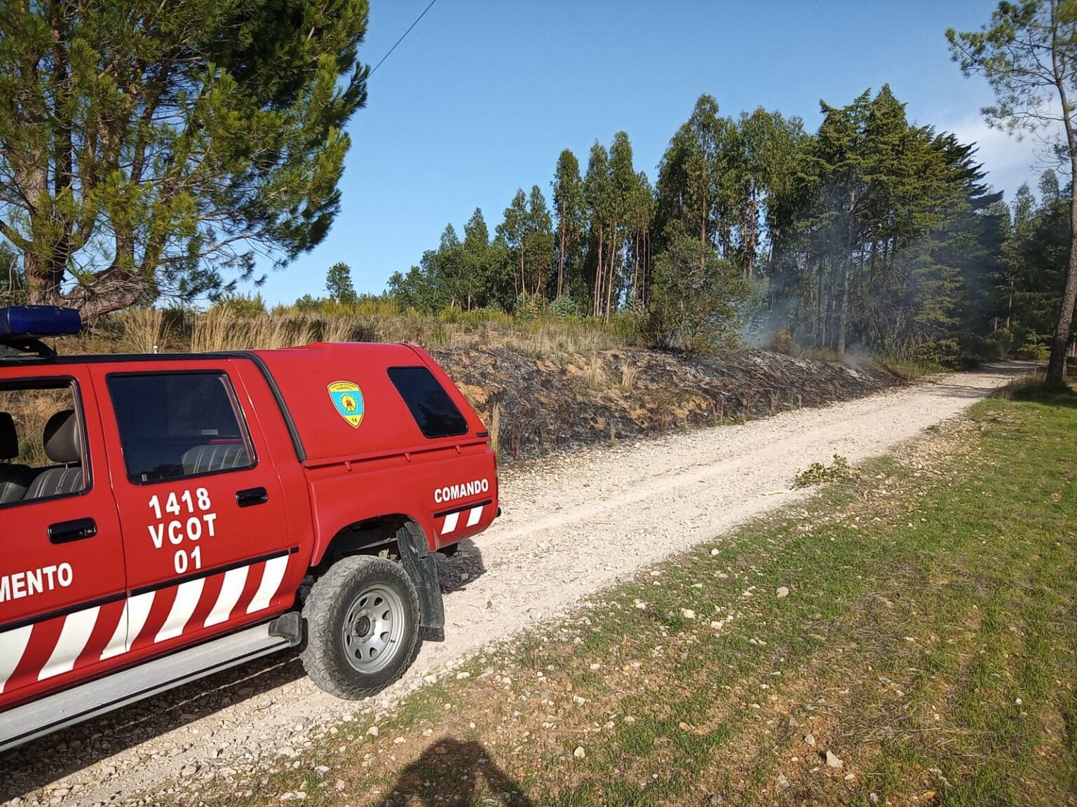 Entroncamento: detido suspeito de atear fogos no parque do Bonito incendio 795804 1792528130701196288 n