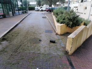 “Tomar na Rede” noticiou, câmara limpou logradouro IMG 20221025 110905