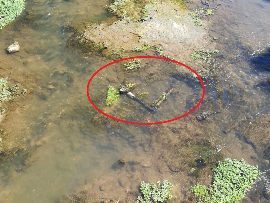Só em agosto foram tiradas do rio Nabão 14 trotinetes trotinete IMG 20220916 195548
