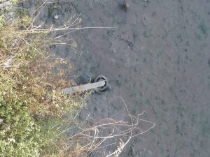 Só em agosto foram tiradas do rio Nabão 14 trotinetes vala da fabrica trotinete IMG 20220923 181449