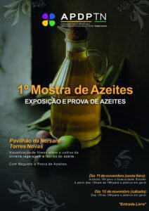 Agenda para o fim de semana 11 11 469 9207615219534624273 n