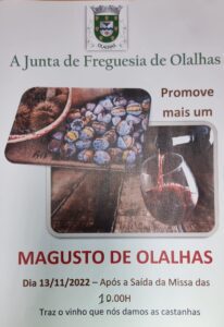 Agenda para o fim de semana 13 11 113435762722 4483027687332366701 n