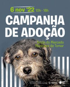 Agenda para o fim de semana 6 11 9249 457346801459353878 n