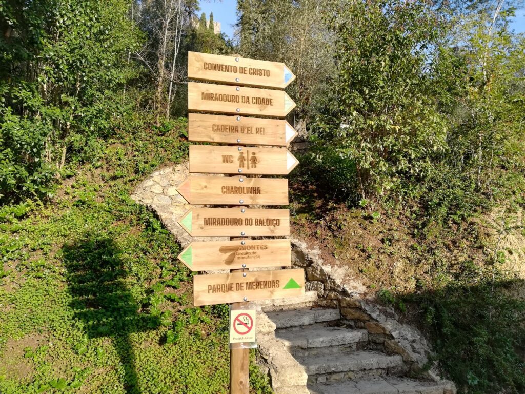 IMG 20221113 084704