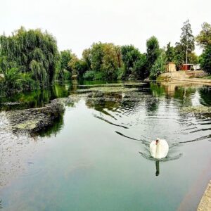 Os 10 pontos turísticos mais fotografados em Tomar foto 5 rio nabao torresdemiranda