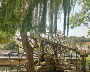 Os 10 pontos turísticos mais fotografados em Tomar foto roda catia lima beyondlisbon