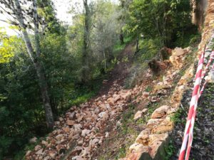 Mata dos Sete Montes: troço do muro caiu (c/ fotos) muro mata cerca IMG 20221127 083129