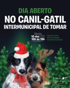 Agenda para o fim de semana 10 12 322702 3289028753219482257 n