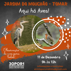 Agenda para o fim de semana 11 12 AquihaAves TMRDez22