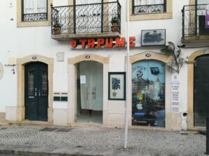 Dois restaurantes indianos abrem em Tomar IMG 20221231 083600