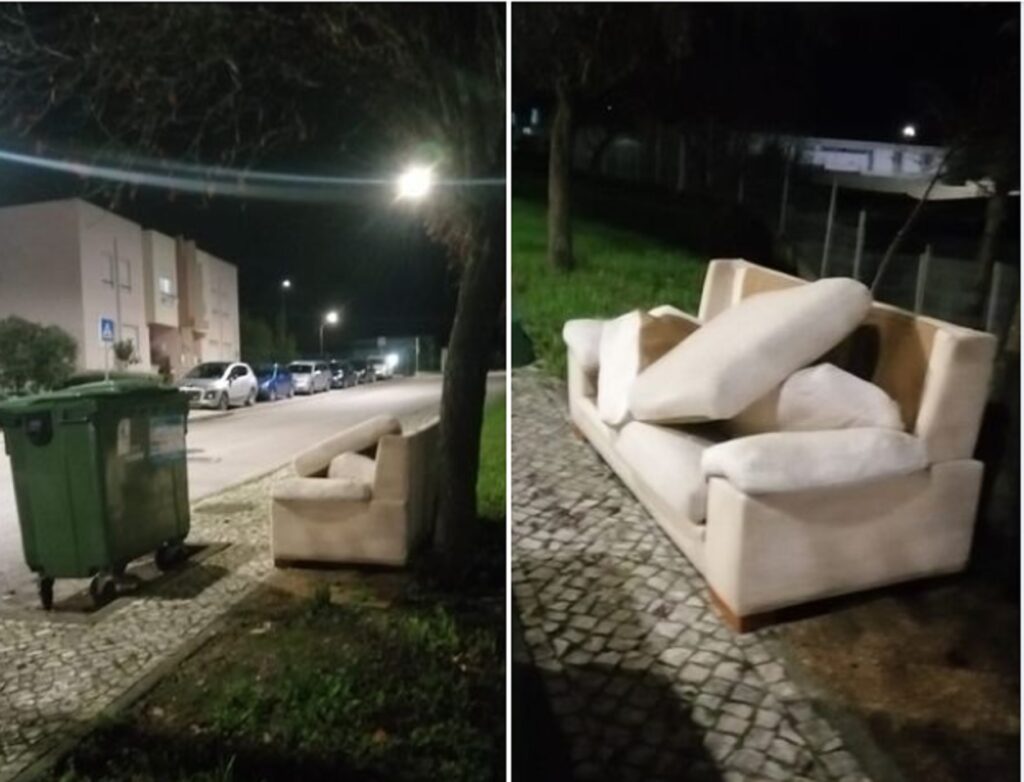 Problemas na recolha de monos em Tomar monos