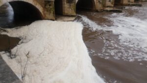 As cheias do rio Nabão em imagens (c/ fotos e vídeos) nabao cheias 825 1494486042440680050 n