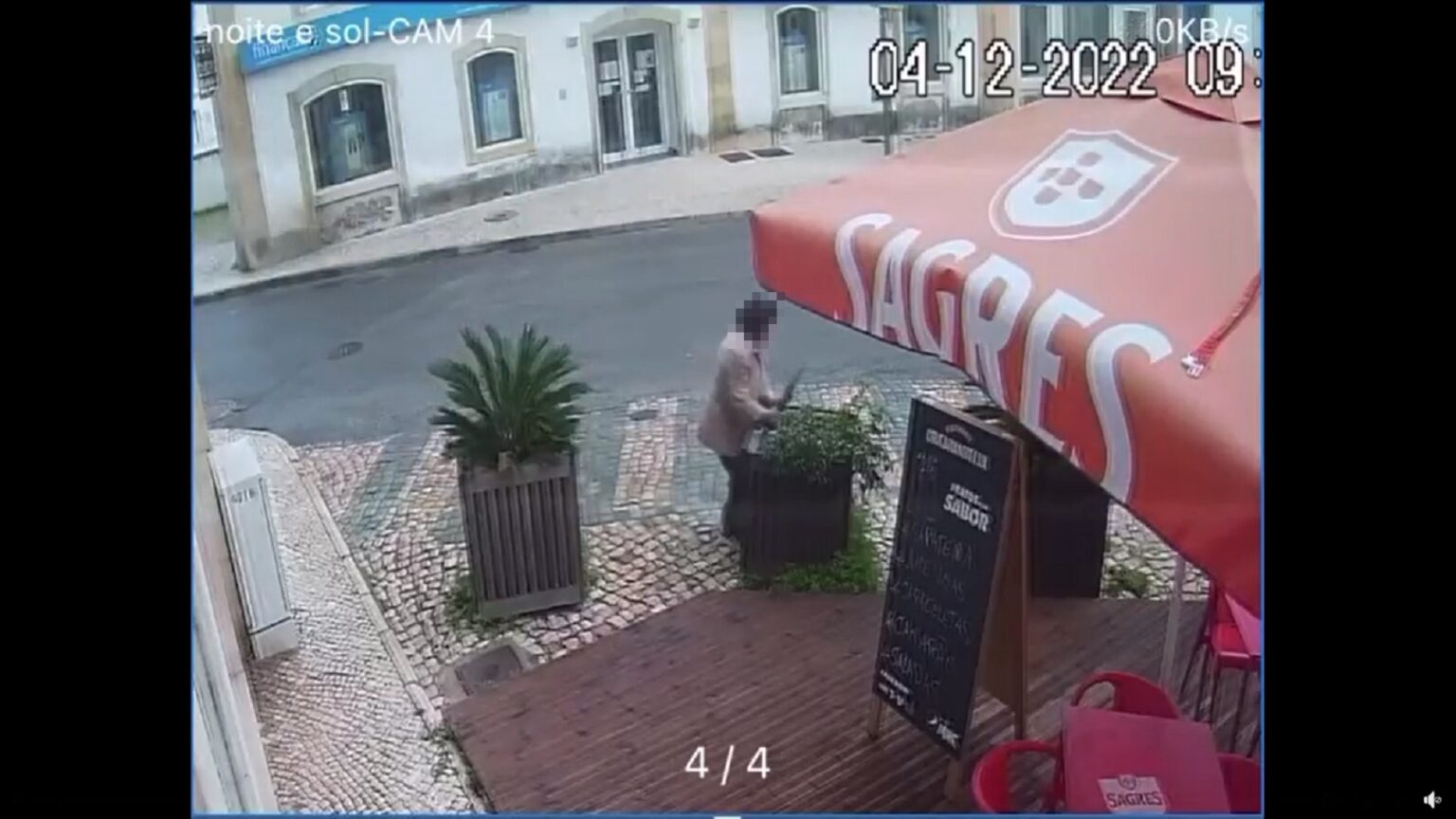 Mulher filmada a roubar planta de esplanada (c/ vídeo) planta vaso