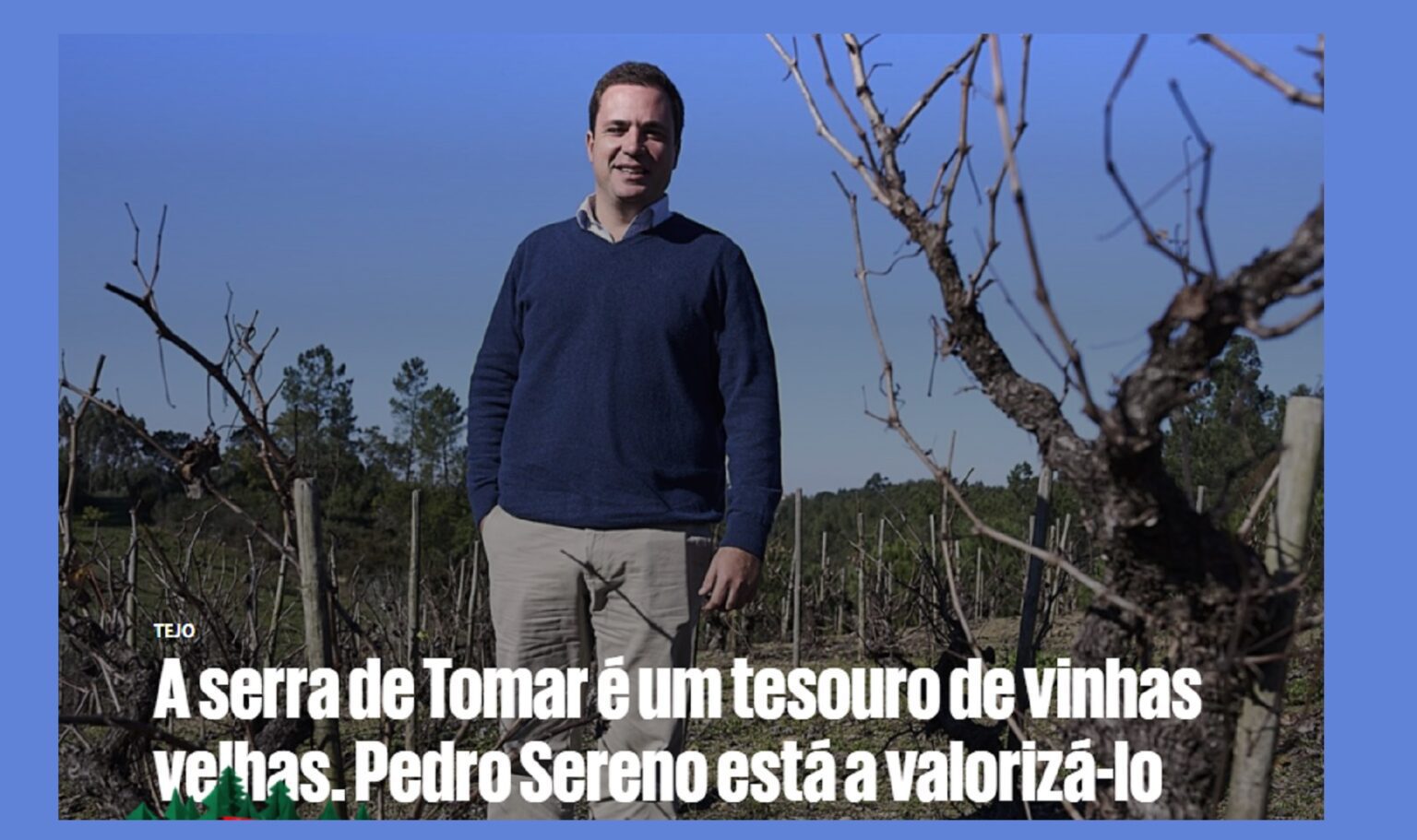 Jornal Público destaca produtor de vinho de Tomar sereno