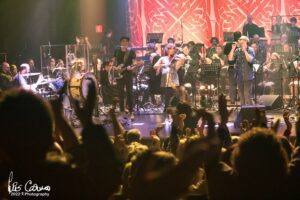 Torres Novas: o concerto dos Quinta do Bill em imagens quinta do bill TN IMG 6324