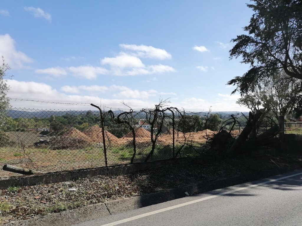 Há favoritismo da câmara de Tomar na atribuição de casas? valbom bairro cigano IMG 20221015 120343