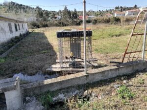 Habitação: os outros “Flecheiros” que a câmara ignora bairro ilegal IMG 20230216 143452