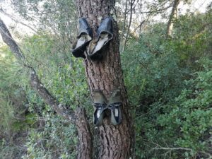 Bruxaria bizarra na freguesia de Paialvo (c/ vídeo) bruxaria sapatos IMG 20230226 165516