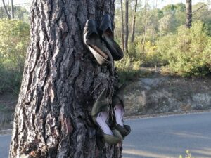 Bruxaria bizarra na freguesia de Paialvo (c/ vídeo) bruxaria sapatos IMG 20230226 165758