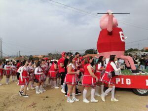 Mais fotos e vídeos do carnaval da Linhaceira carnaval linhaceira 2023 IMG 20230219 153020