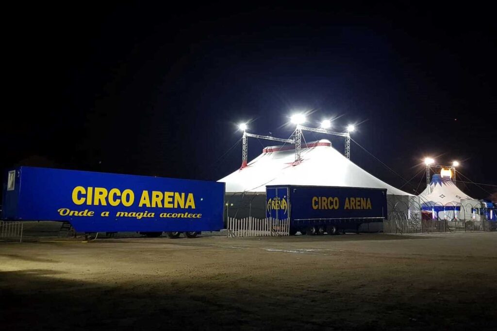 circo 6270147 6299769098264811090 n