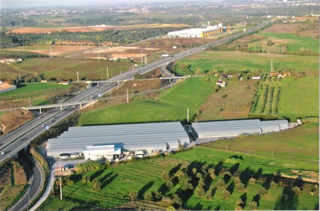 Santarém: viveiro de plantas em leilão leil 4686532 5178303538828978746 n