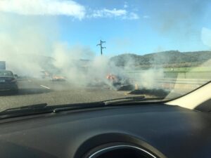 Camião carregado de palha ardeu na A1 (c/ fotos) a1 374506460396 1104381929874611597 n