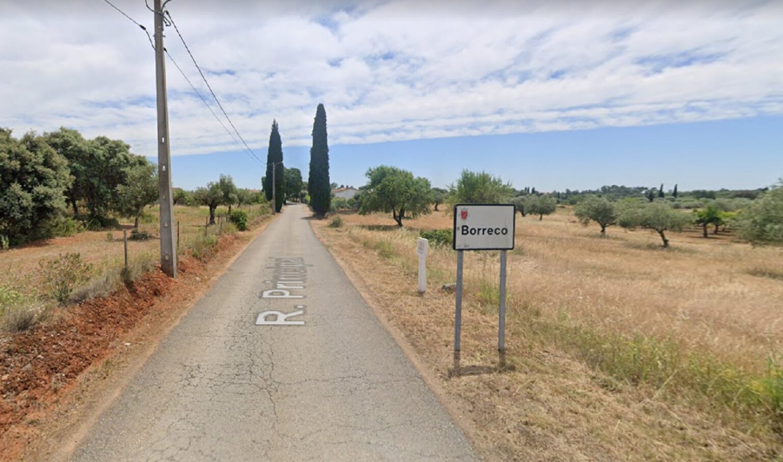 borreco TN