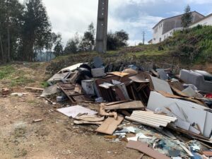 Monos e lixo geram protestos em Carregueiros (c/ fotos) carregueiros lixo monosIMG 20230225 WA0006