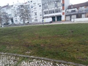 Andaram a fazer piões no relvado (c/ fotos) rali pioes 80253961 4883404338350574667 n